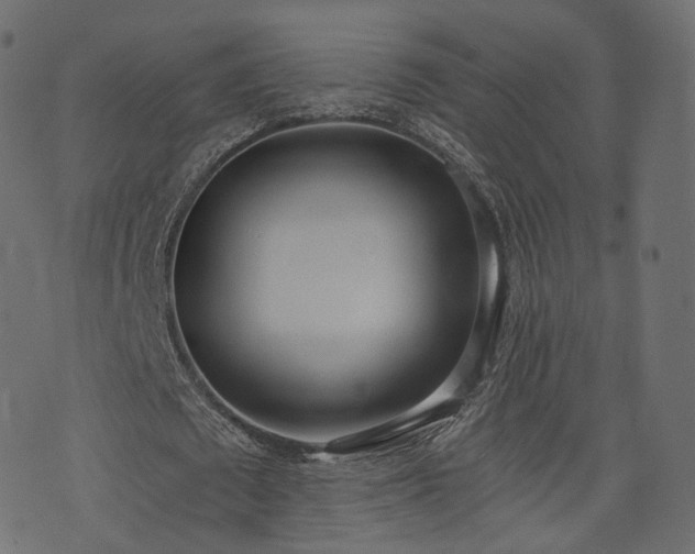 X0000076410673200610061140