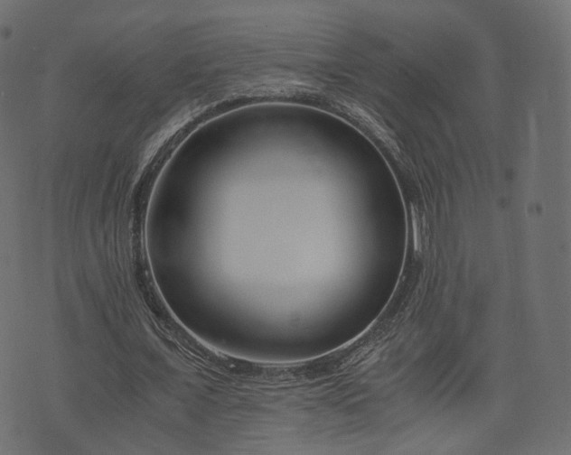X0000076410675200610061140