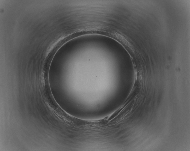 X0000076410676200610061140