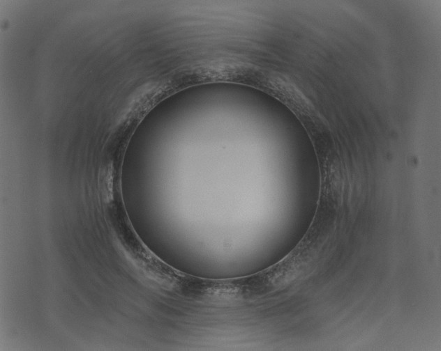 X0000076410694200610061140