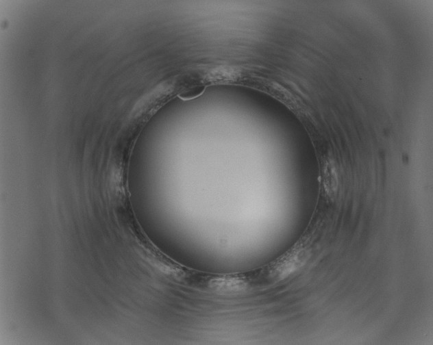 X0000076410714200610061139