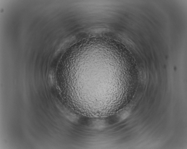 X0000076410718200610061139