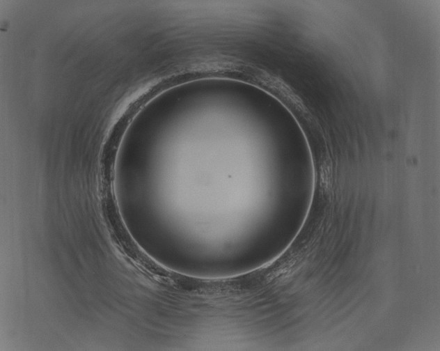 X0000076410724200610061138