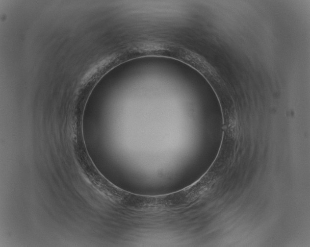 X0000076410732200610061139