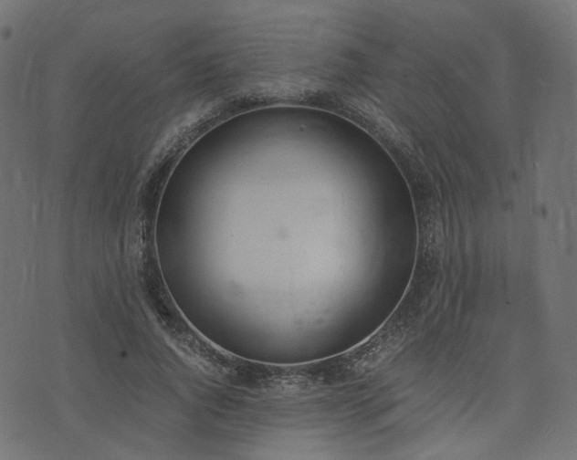 X0000076410736200610061139