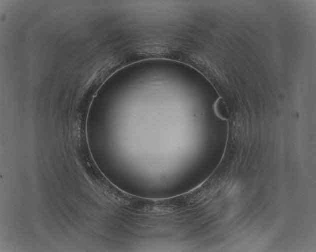 X0000076410739200610061139