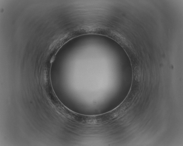 X0000076410740200610061139