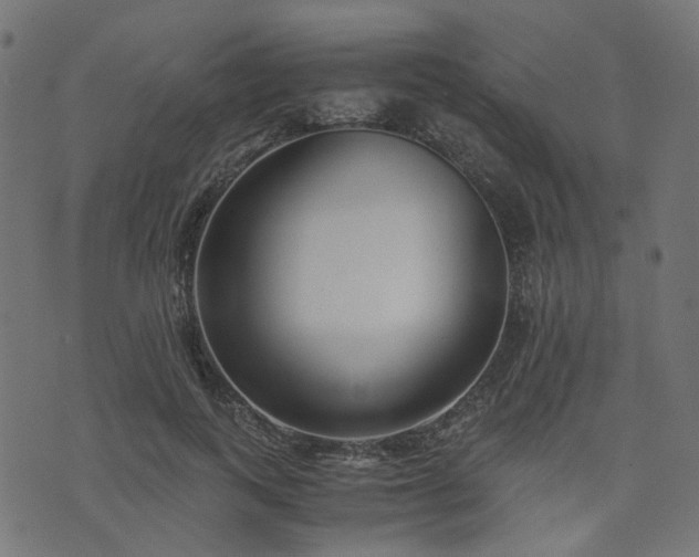 X0000076410743200610061139
