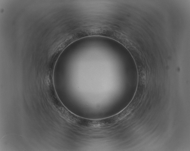 X0000076410746200610061139