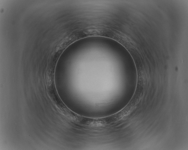 X0000076410751200610061139