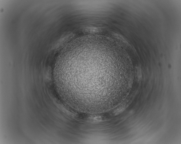 X0000076410760200610061139