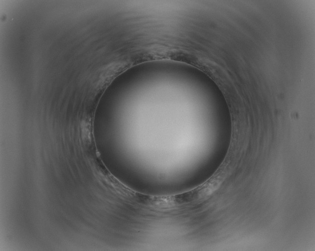 X0000076410768200610061139