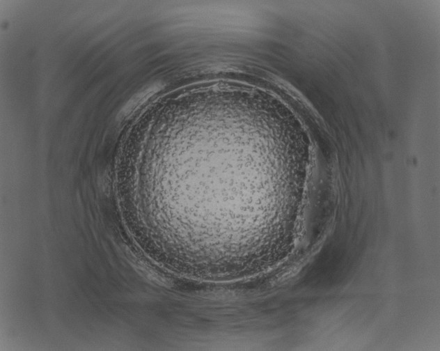 X0000076410785200610061138