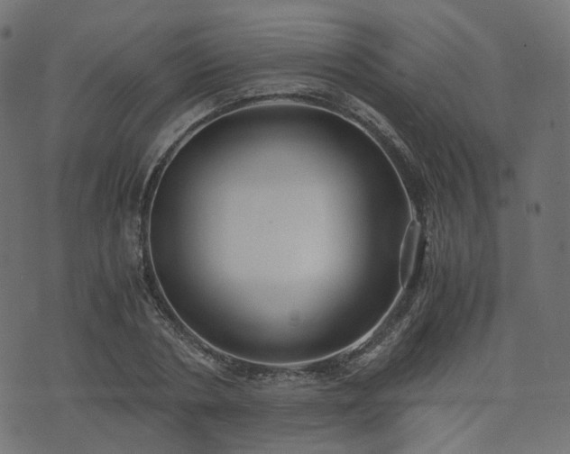 X0000076410786200610061138