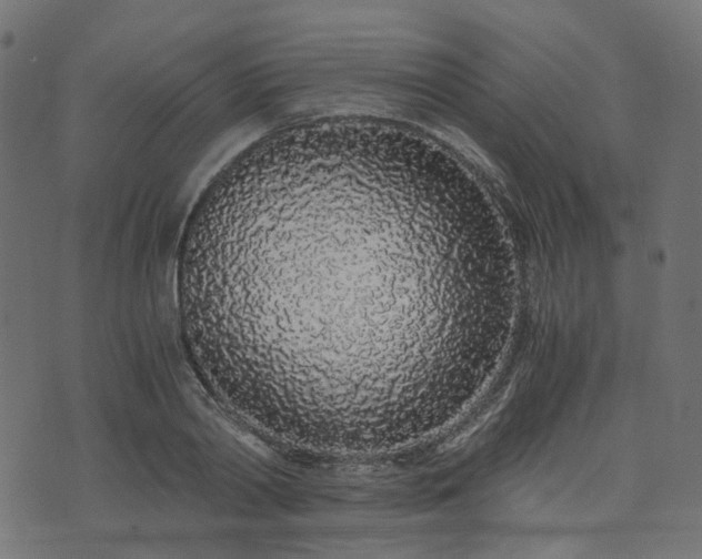 X0000076410790200610061138