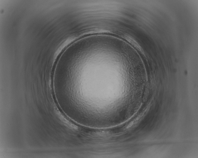 X0000076410797200610061138