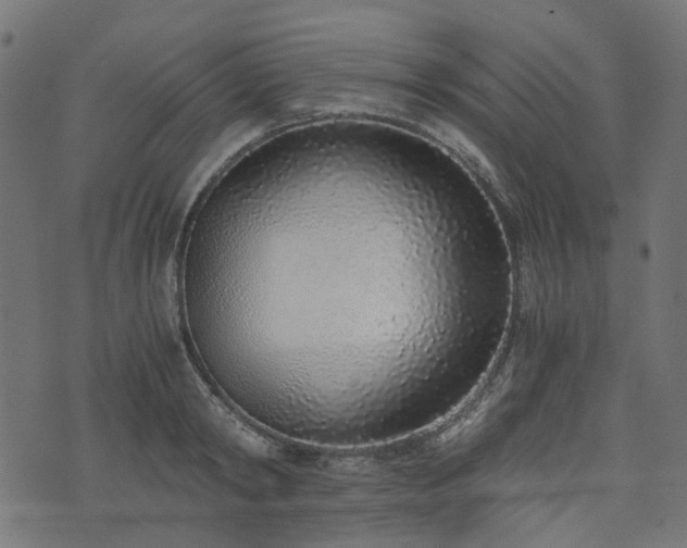 X0000076410798200610061138