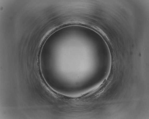 X0000076410799200610061138