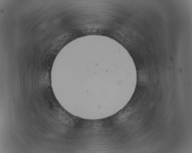 X0000076410820200610061137