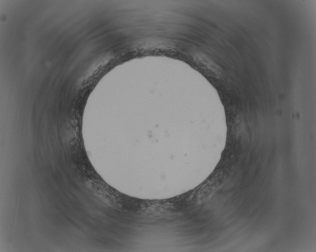 X0000076410824200610061137