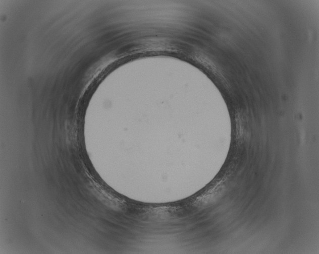 X0000076410828200610061137