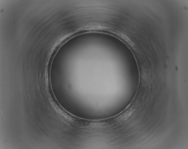 X0000076410840200610061137