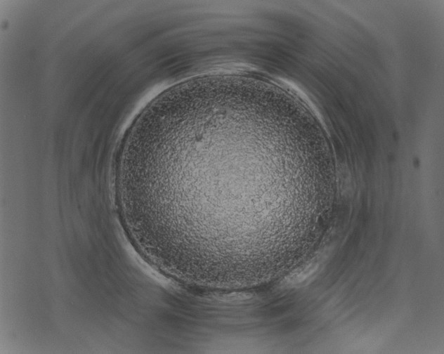 X0000076410851200610061137