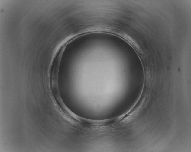 X0000076410854200610061137