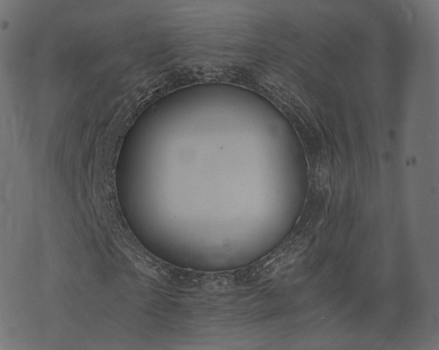 X0000076410865200610061137