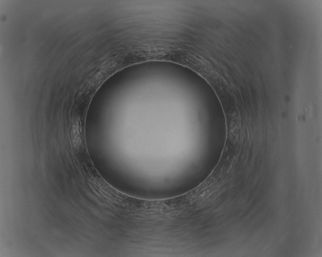 X0000076410866200610061137