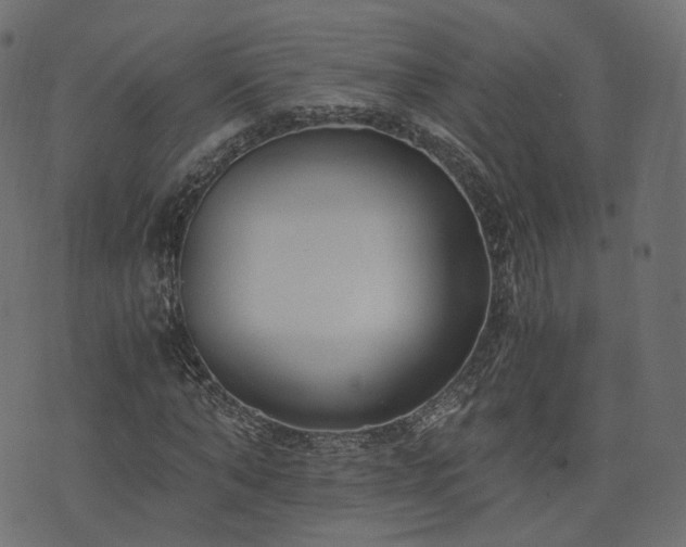 X0000076410870200610061137