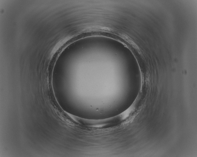 X0000076410877200610061137