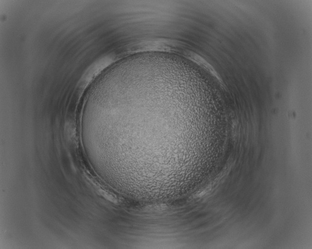 X0000076410882200610061137