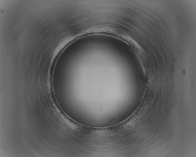 X0000076410894200610061136