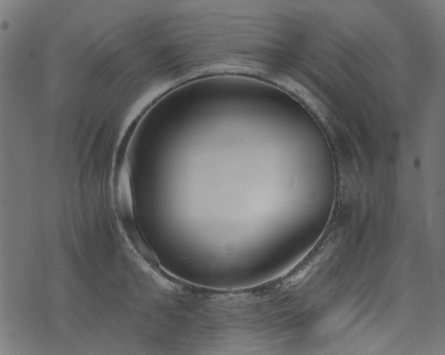 X0000076410902200610061136