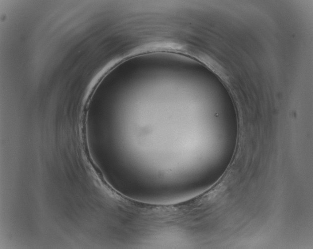 X0000076410912200610061136