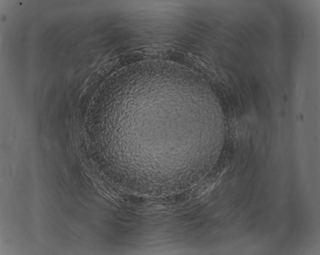 X0000076410913200610061135