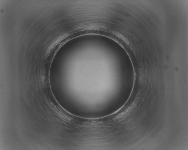 X0000076410922200610061135