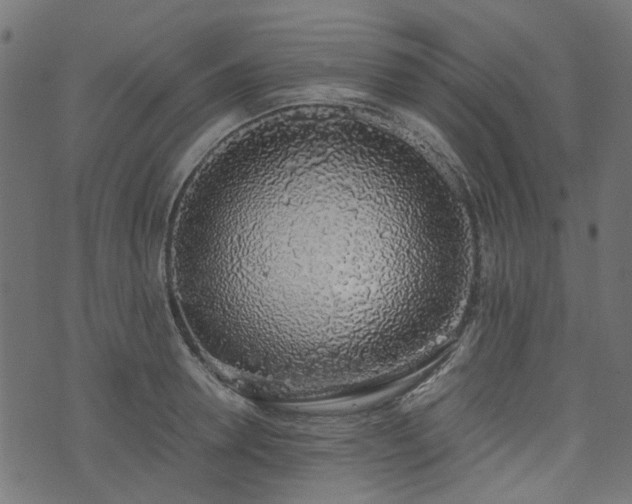 X0000076410946200610061136