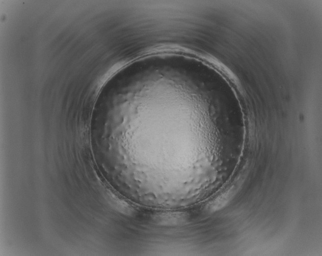X0000076410953200610061136