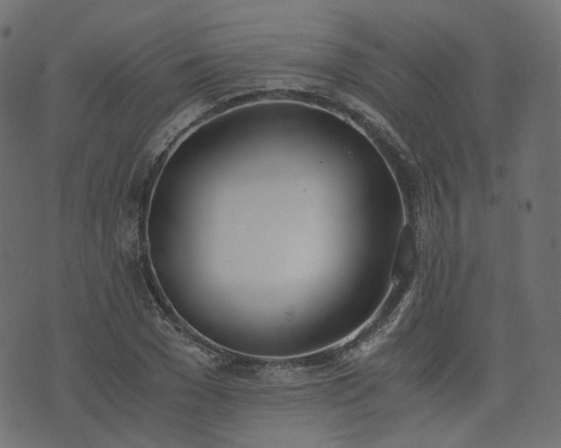 X0000076410977200610061135