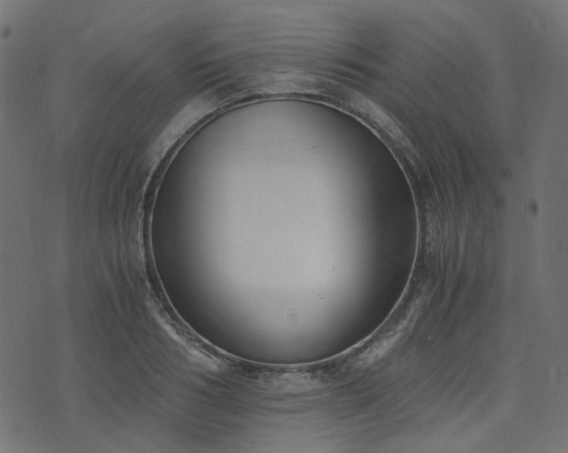 X0000076410986200610061135