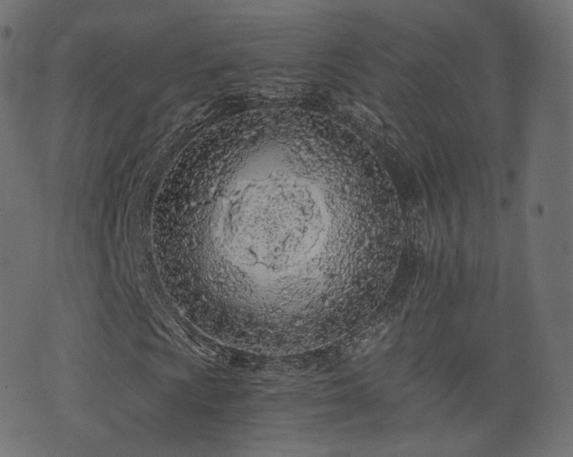 X0000076411009200610061134