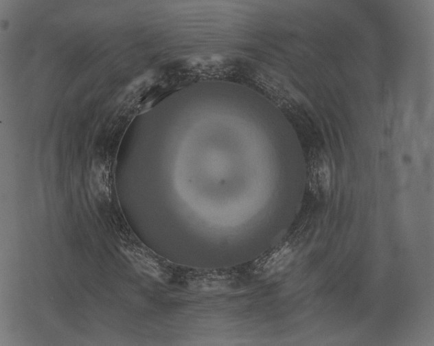 X0000076411010200610061134