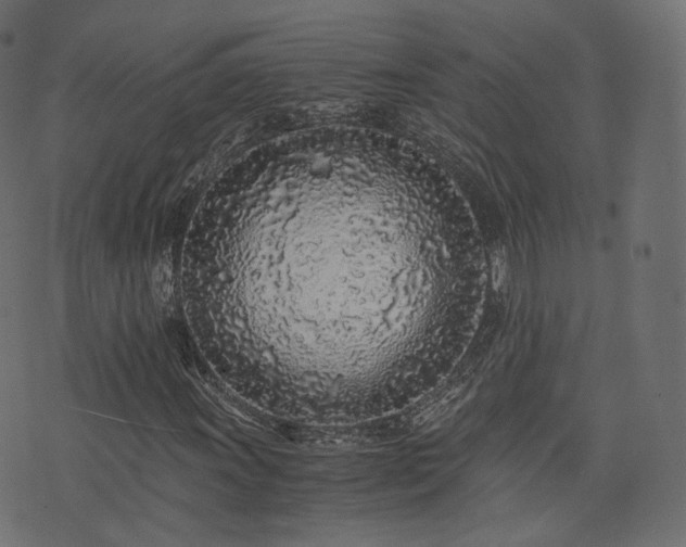 X0000076411011200610061134