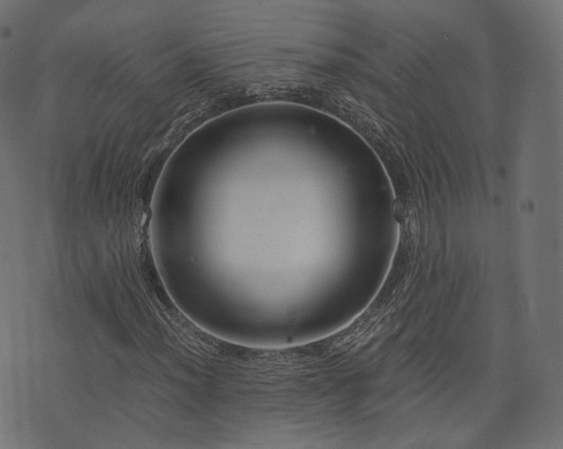 X0000076411012200610061134