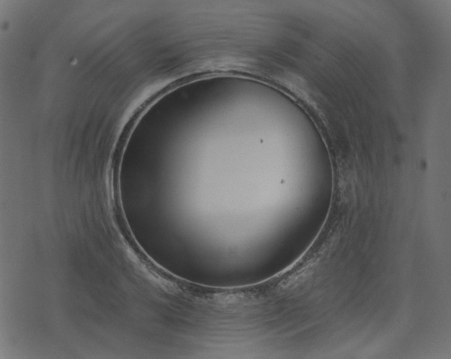 X0000076411032200610061134