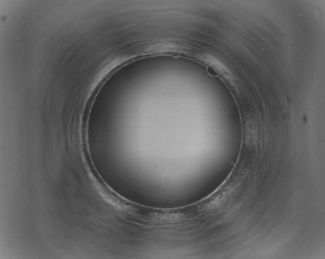 X0000076411039200610061134