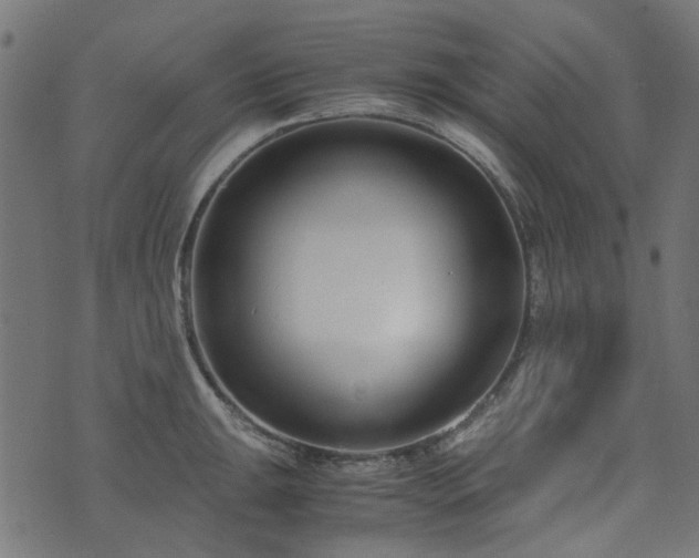 X0000076411047200610061134
