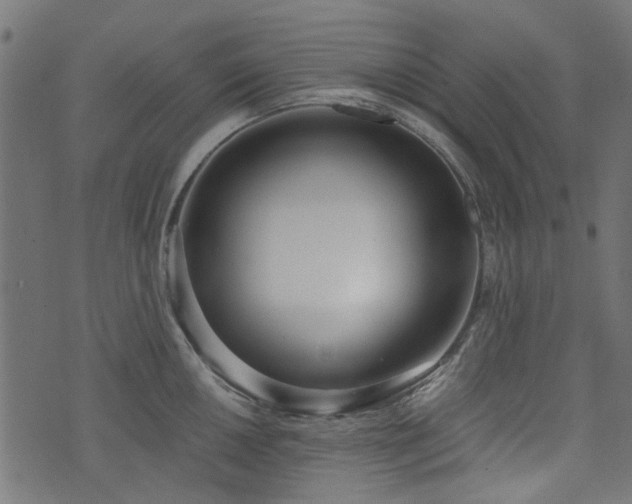 X0000076411050200610061134